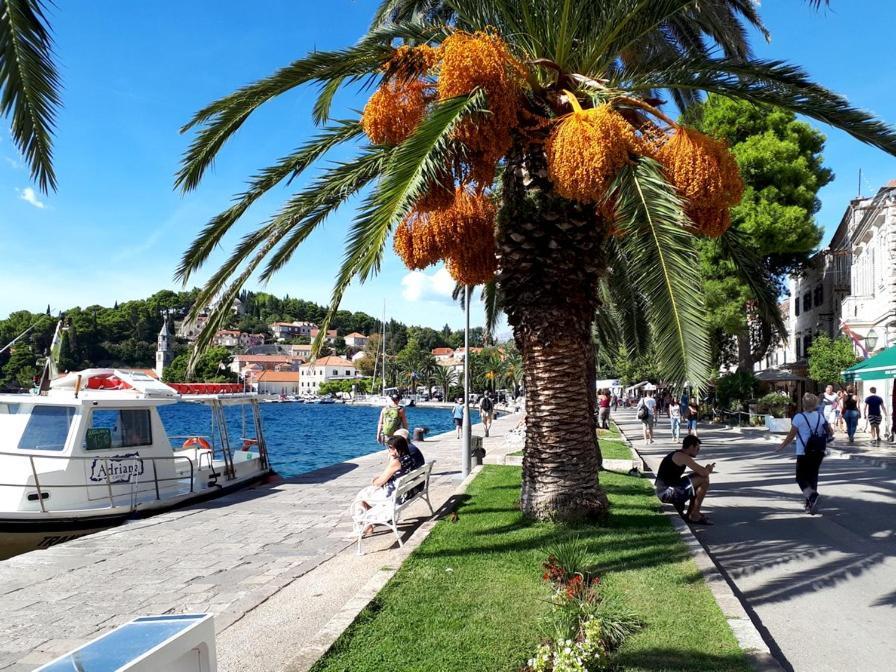 Apartments Rilovic, City And Sea View Apartments Cavtat Exteriér fotografie